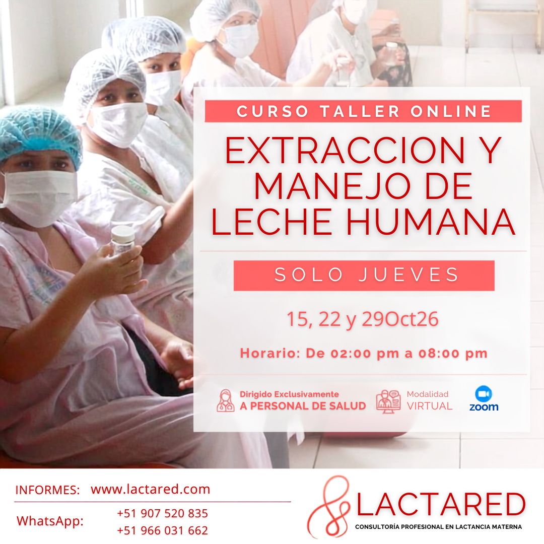 Curso Taller